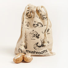 Load image into Gallery viewer, PLASTIC FREE PRODUCE &amp; MARKET BAG SET |  5 PIECE - 100% LINEN
