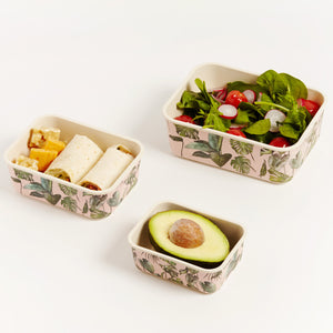 MONSTERA CONTAINER SET